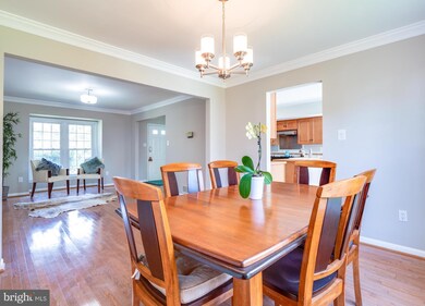 4336 Cub Run Rd, Chantilly, VA 20151 - photo 6