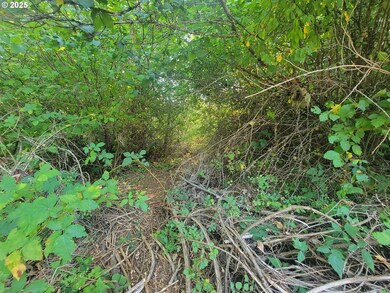 0 Finn Rd unit 591691188, Sheridan, OR 97378 - photo 4