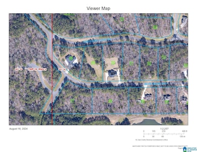 964 Blue Ridge Way unit 41, Odenville, AL 35120 - photo 2