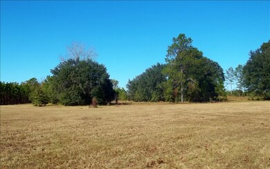 1357 SW Wilson Springs Rd, Fort White, FL 32038 - photo 3