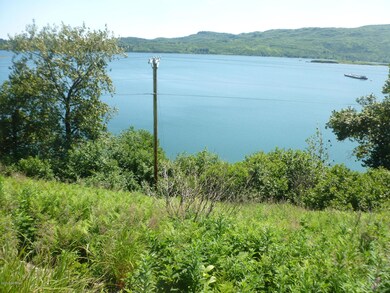 View Lot