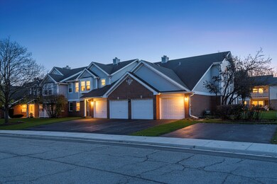 1615 W Hawkes St unit 5, Arlington Heights, IL 60004 - photo 2