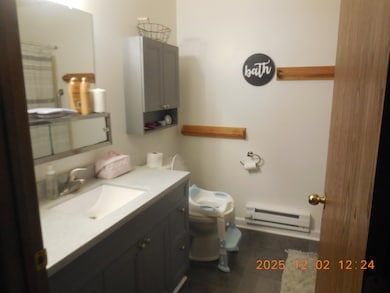 421 S Rebecca St, Gays Mills, WI 54631 - photo 7