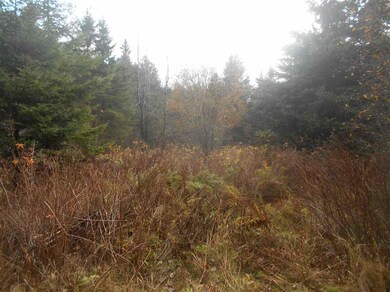 0 Brook Park Rd, Stewartstown, NH 03576 - photo 3