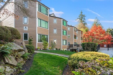 1024 5th Ave S unit A304, Edmonds, WA 98020 - photo 3