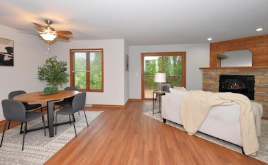 Gas Fireplace w/blower