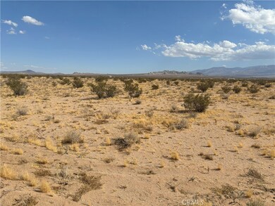 0 Saxon Rd, Lucerne Valley, CA 92356 - photo 4