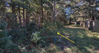 000 Half St, Summerville, SC 29483 - photo 4