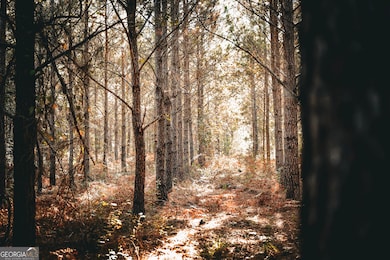 0 Camp Brooklyn Rd unit 10610288, Fitzgerald, GA 31750 - photo 5