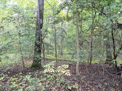 Lot Interior
