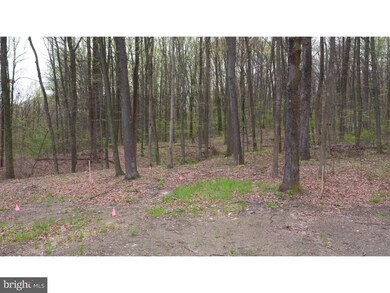 166 Sousley Rd, Lenhartsville, PA 19534 - photo 6