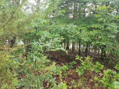 Lot 6 Montego Dr, Ruth B Rural Township, MO 65686 - photo 4