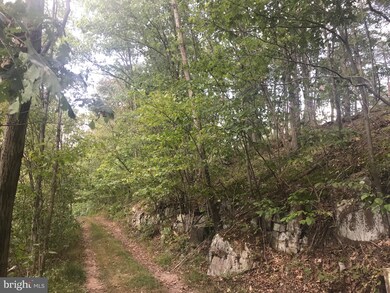 0 Waylynn Rd unit WVHS113242, Augusta, WV 26704 - photo 4