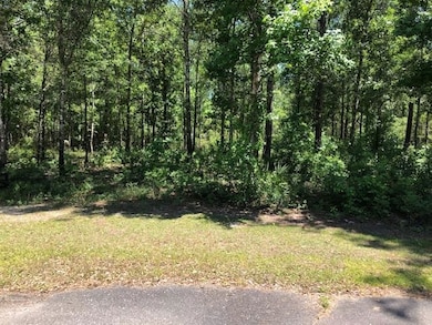 Lot 22+ Burnt Pine Loop, Saint Marks, FL 32355 - photo 2