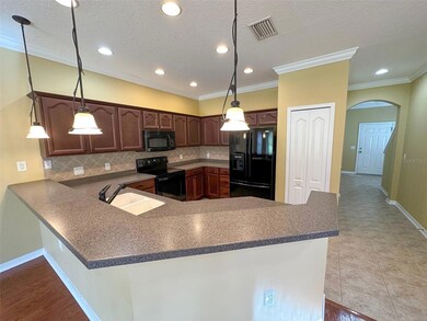 11801 Castine St, New Port Richey, FL 34654 - photo 5