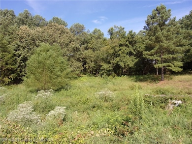 TBD Scenic View Rd, Ozark, AR 72949 - photo 7