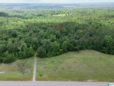 0 Highway 82 unit 1 21385129, Centreville, AL 35042 - photo 4