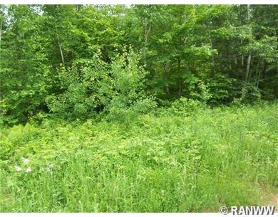 Lot 10 Deer Stand Trail, Meenon Township, WI 54893 - photo 2