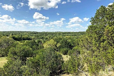 1005 Sky Rd, Weatherford, TX 76087 - photo 3