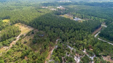 0 Wild Cur Rd, Pierson, FL 32180 - photo 4