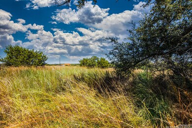 104 Capt Castro, Blanco, TX 78606 - photo 7