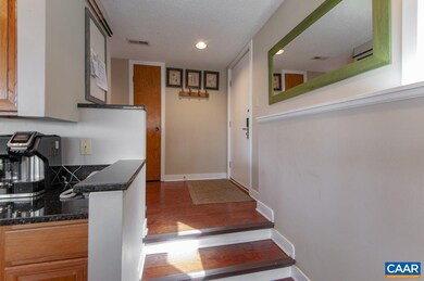 2137 Fairway Woods, Wintergreen Resort, VA 22967 - photo 4