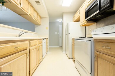 13110 Briarcliff Terrace unit 607, Germantown, MD 20874 - photo 5