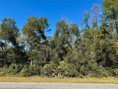 LOT 11 Tulip Ave, Eustis, FL 32736 - photo 5