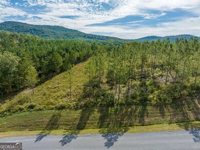 Lot 299 Twisted Oak Rd, Talking Rock, GA 30175 - photo 6