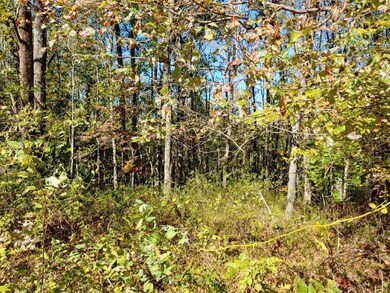 1014191135a_HDR