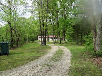 7210 Newkirk Rd, Mountain Grove, MO 65711 - photo 4