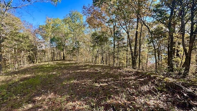 0 Rock Springs Rd unit RTC3049750, Celina, TN 38551 - photo 6