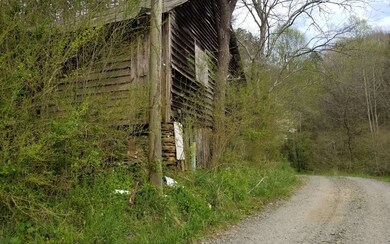 171 Branch Trail, Ellijay, GA 30540 - photo 2