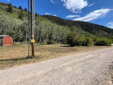 Mountain view featuring a heavily wooded area