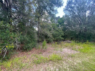 Lot View