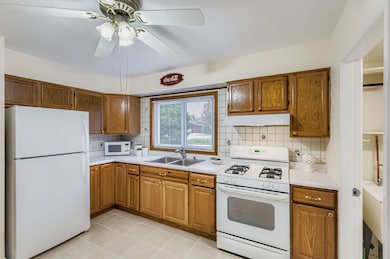 115 W Helen Rd, Palatine, IL 60067 - photo 5