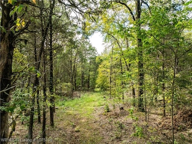 TBD Dry Hill Loop, Chester, AR 72934 - photo 4