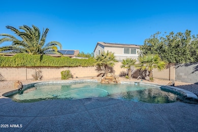 Laguna-55