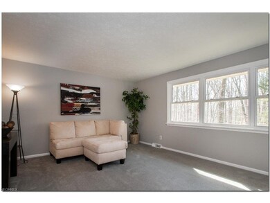 Spacious Living RoomWith Built-ins