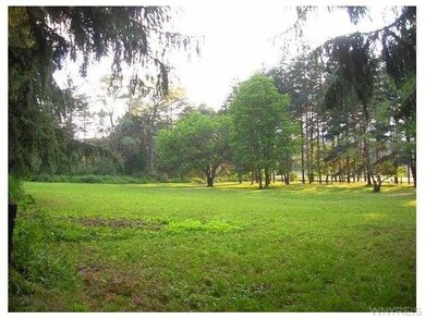 Yard/Garden