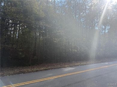 Lot 30 Cypress Creek Ave E, Tuscaloosa, AL 35405 - photo 3