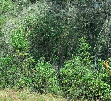 0000 S Spring Creek Hwy, Crawfordville, FL 32327 - photo 2