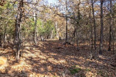 TBD S 4497 Rd, Vian, OK 74962 - photo 6