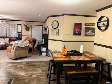 6874 White Walnut Rd, Pinckneyville, IL 62274 - photo 5