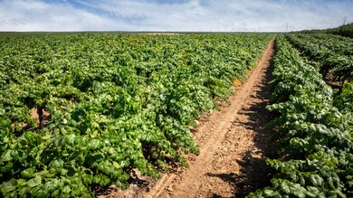 5648 N Montpelier Rd, Denair, CA 95316 - photo 6