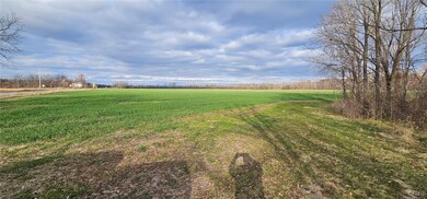 0 New York 96a, Romulus, NY 14541 - photo 4