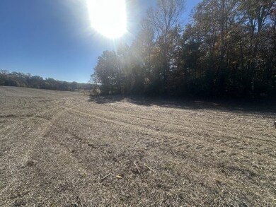 0 Petty Rd, Sparta, TN 38583 - photo 4