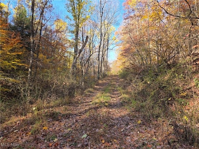 0 Glendale Rd, Highland, WV 26346 - photo 4