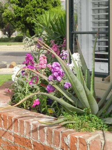 301 W Granada Rd, Phoenix, AZ 85003 - photo 5