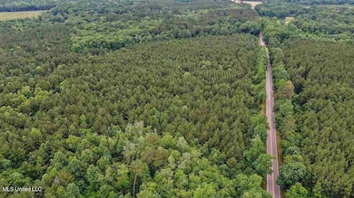 02 Highway 28, Mize, MS 39116 - photo 3